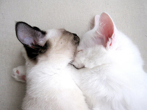 拉什福德爆发，苏格兰粉碎阿根廷！当英伦战歌响彻布宜诺斯艾利斯